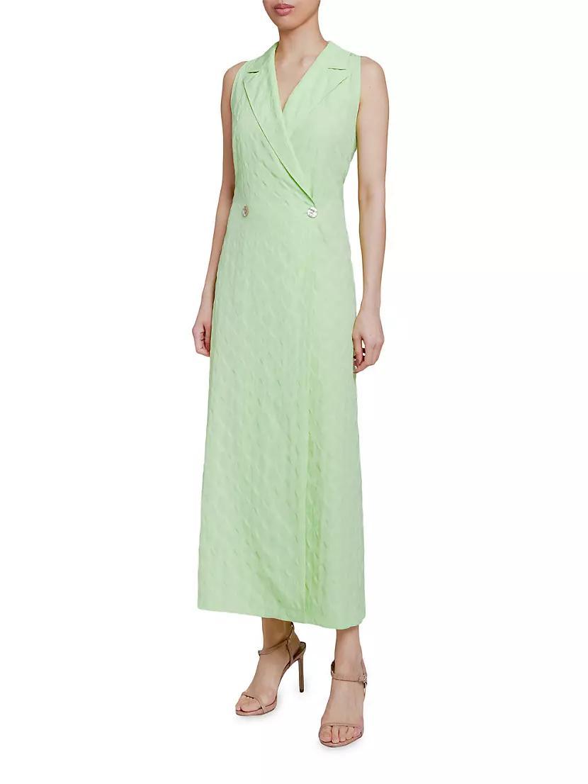 Jacquard Tie-Waist Maxi Dress Product Image