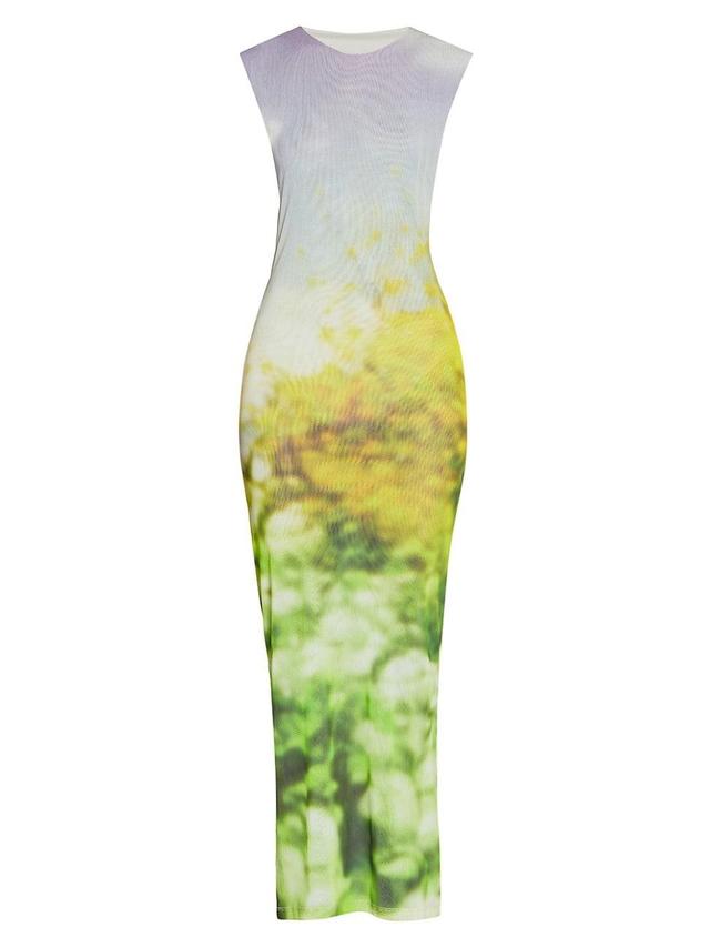 Womens Eflora Blurry Landscape Mesh Maxi Dress Product Image