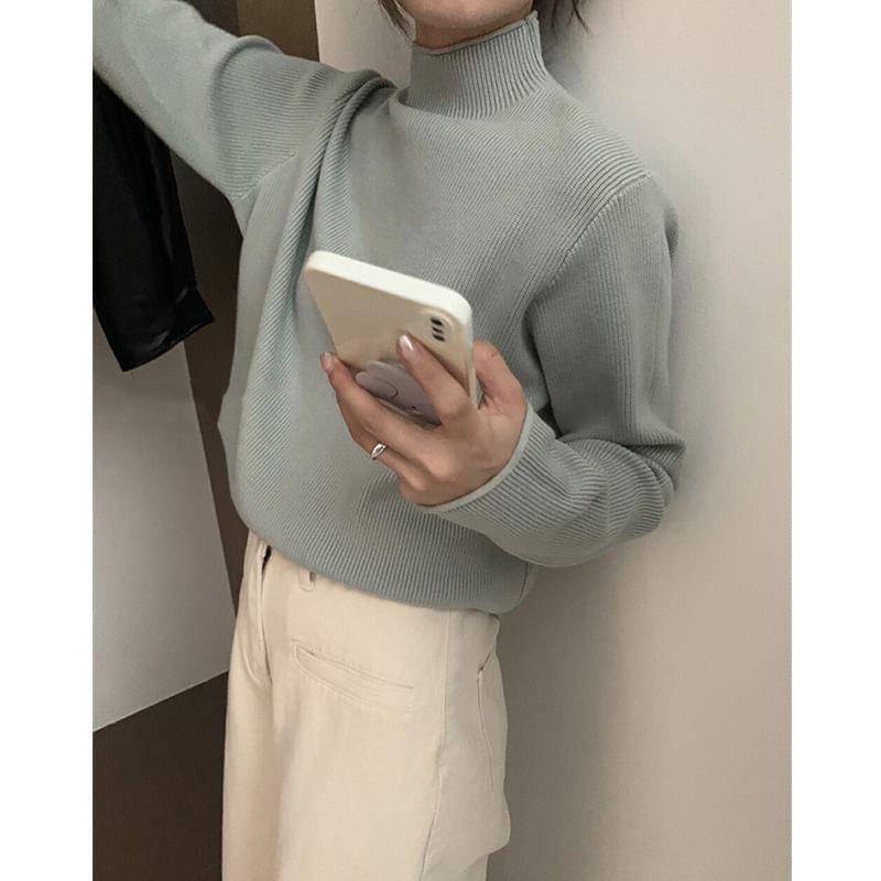 Long-Sleeve Turtleneck Ribbed Knit Top Product Image