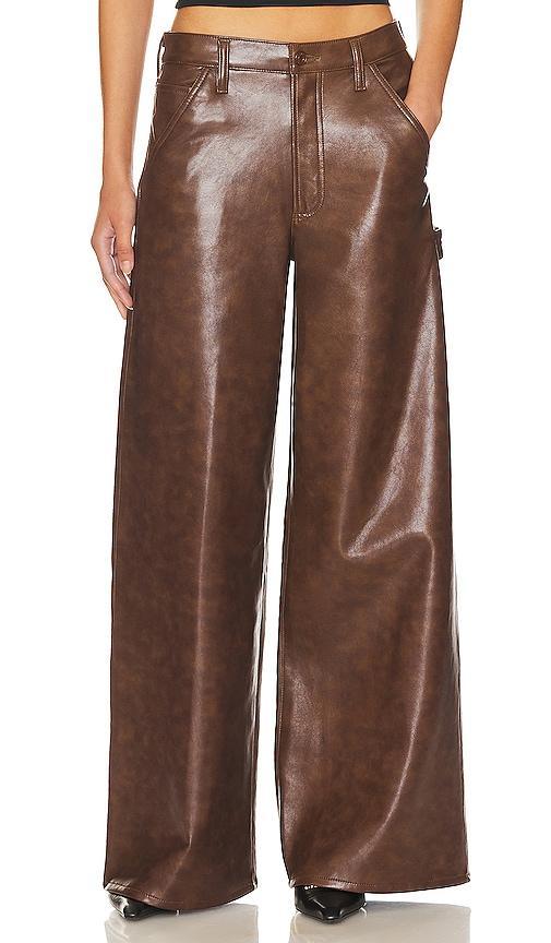 AGOLDE Dale Wide Leg Carpenter Trouser in Brown Product Image