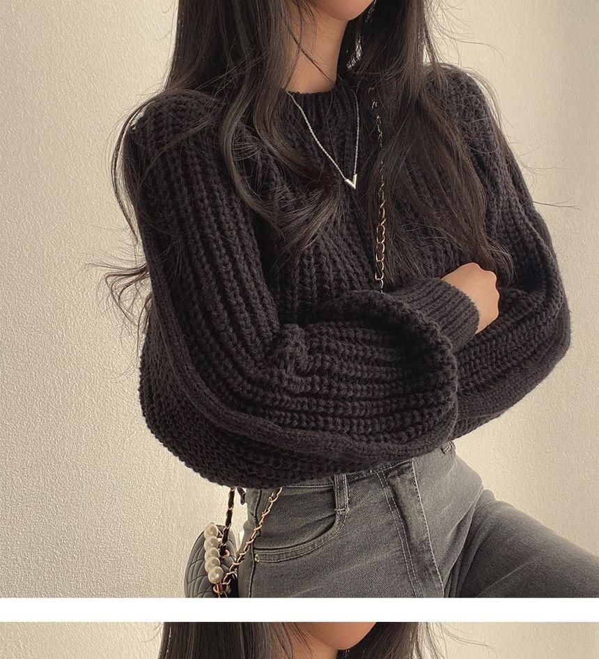 Crew Neck Plain Chunky Knit Crop Sweater Product Image