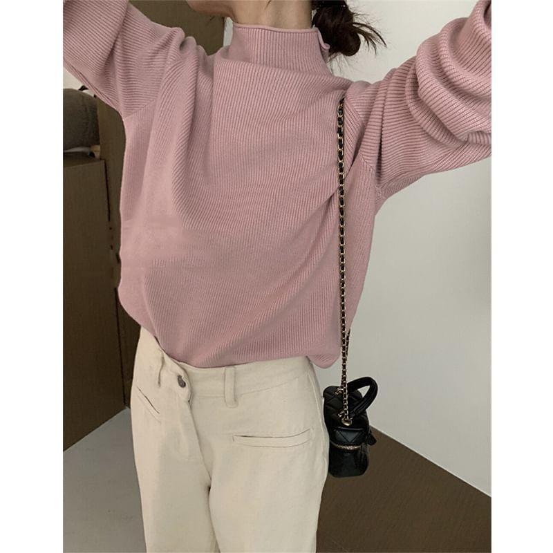 Long-Sleeve Turtleneck Ribbed Knit Top Product Image