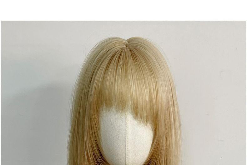 Long Full Wig - Straight Product Image