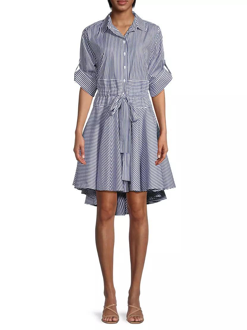 Meadow Striped Shirtdress Product Image