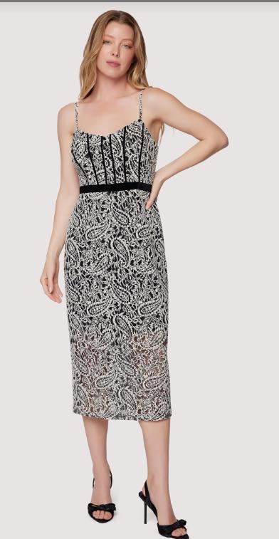 Mon Amour Midi Dress Product Image