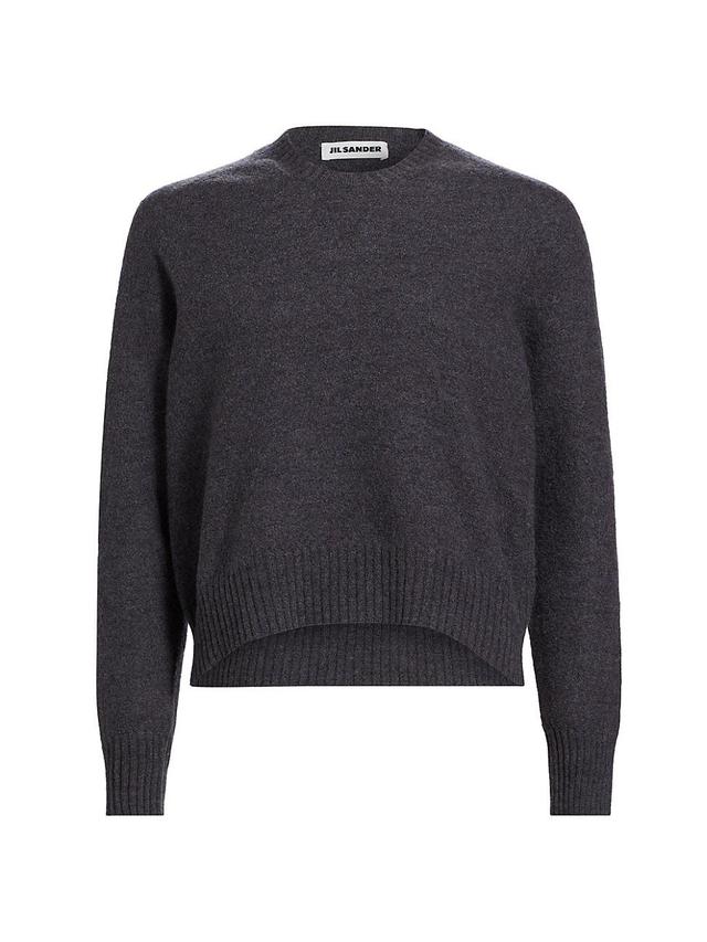 Womens Wool Crewneck Sweater Product Image