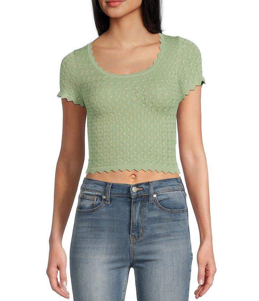 Blu Pepper Short Sleeve Pointelle Scallop Sweater Crop Top Product Image