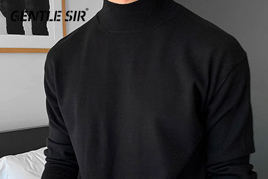 Turtle-Neck Knit Top Product Image