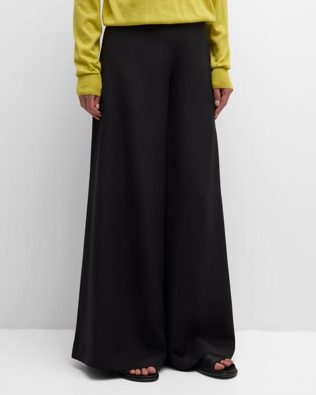 Dela Wide-Leg Silk Pants Product Image