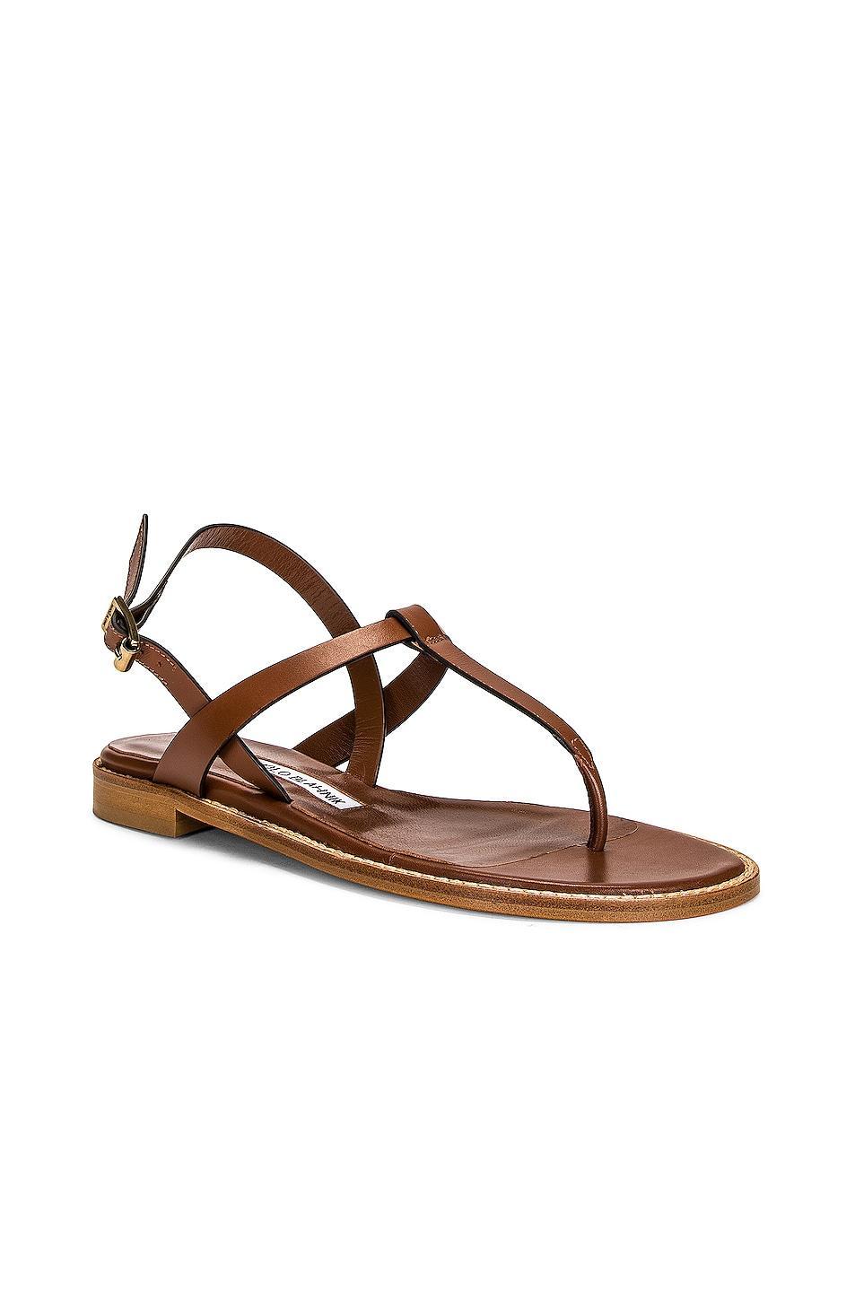 Manolo Blahnik Leather Hata 10 Sandal in Brown - Brown. Size 36 (also in 37.5, 38, 38.5, 39, 41). Product Image