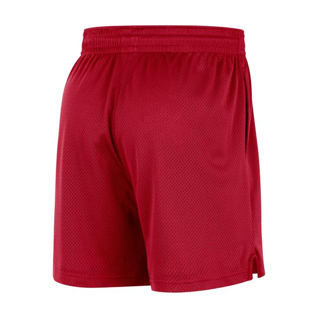 Atlanta Hawks Men's Nike NBA Mesh Shorts Product Image