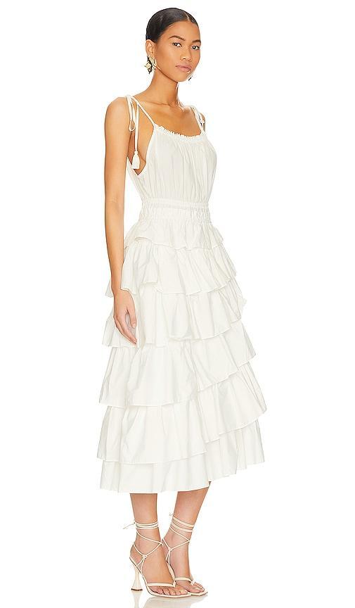 Steve Madden Mireya Midi Dress (Ivory) Women's Clothing Product Image