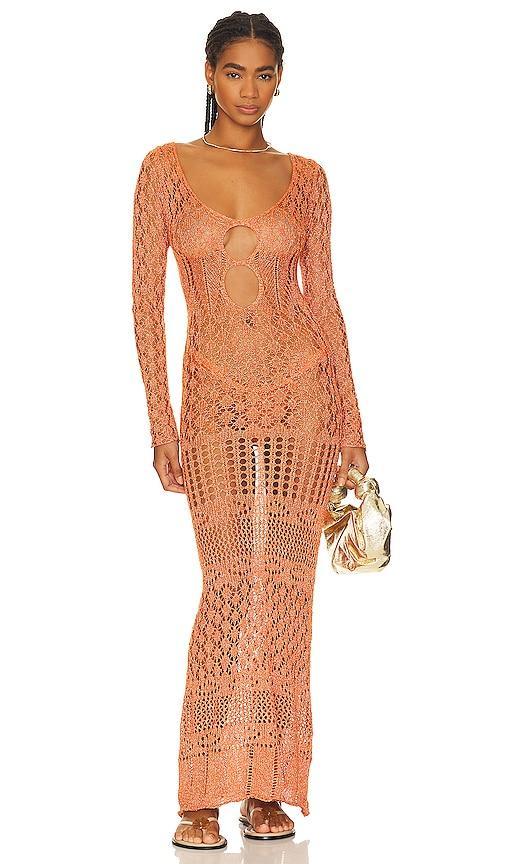 X Revolve Long Sleeve Crochet Maxi Dress Product Image