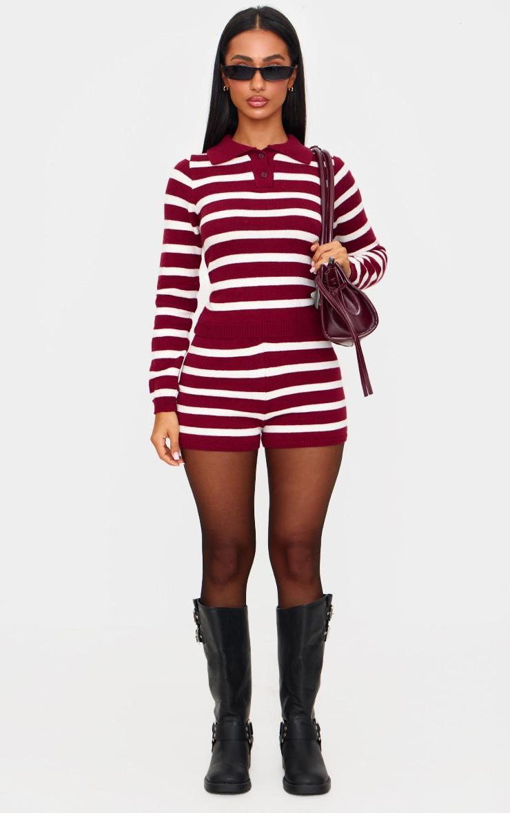 Petite Burgundy Knitted Stripe Collar Detail Long Sleeve Top Product Image