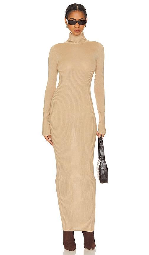 Sheer Knit Maxi Dress Product Image