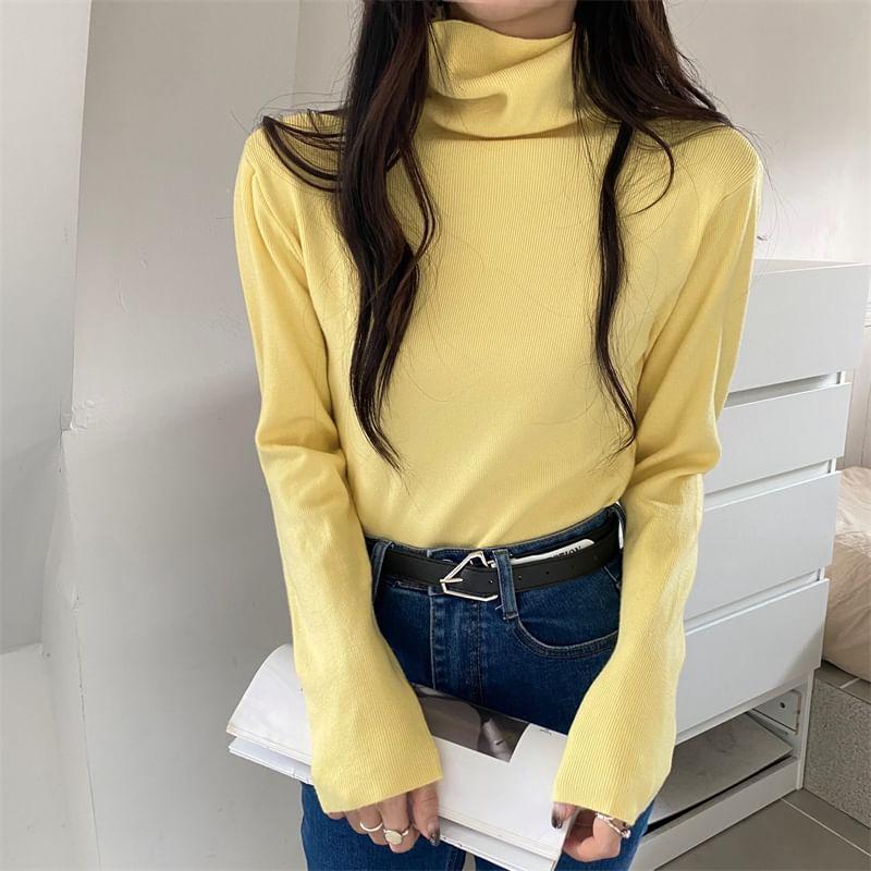 Long-Sleeve Turtleneck Plain Knit Top Product Image