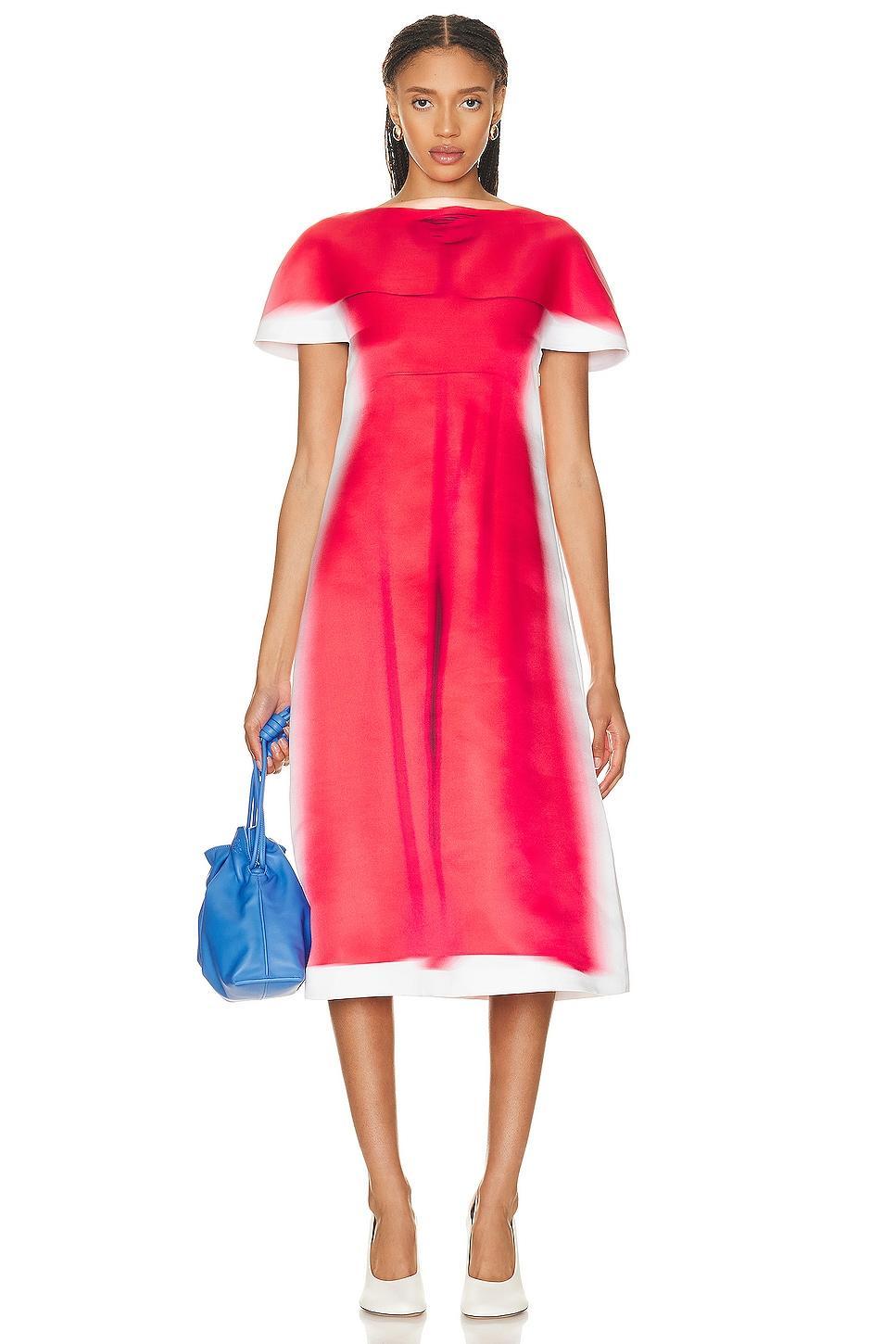 Loewe Blurred Print Dress in Red Product Image