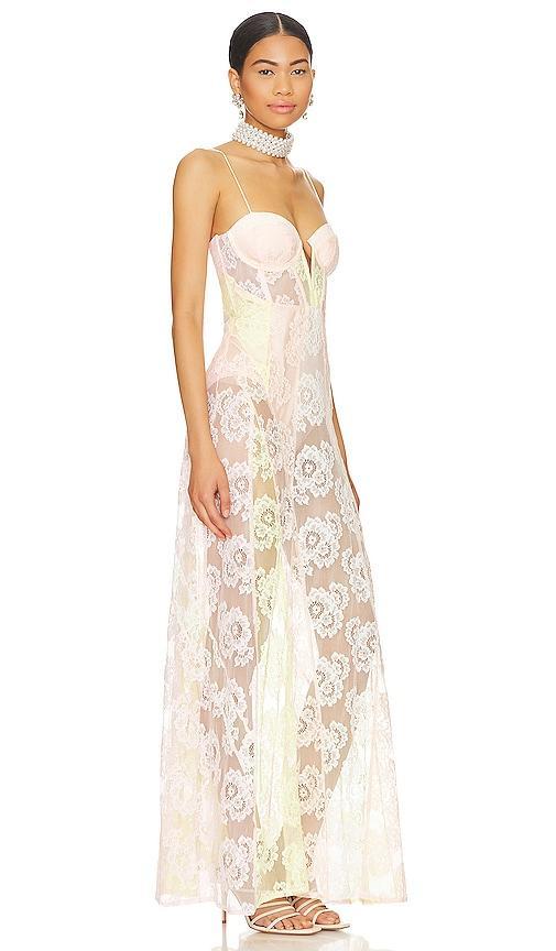 Blossom Maxi Dress For Love & Lemons Product Image