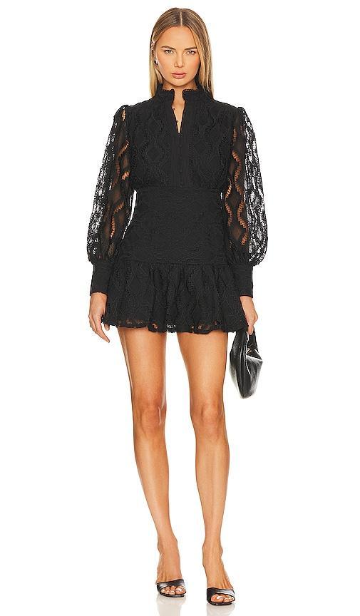 Bardot Remy Lace Long Sleeve Minidress Product Image