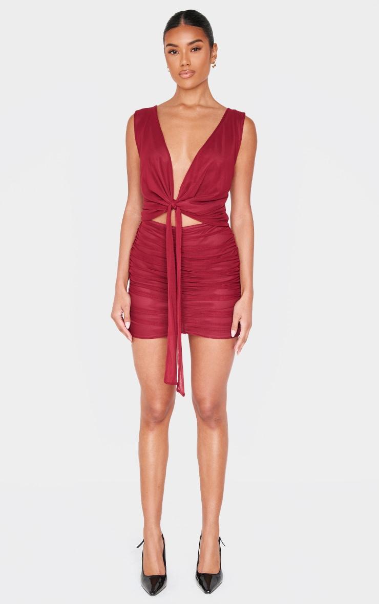 Burgundy Mesh Plunge Knot Detail Mini Dress Product Image