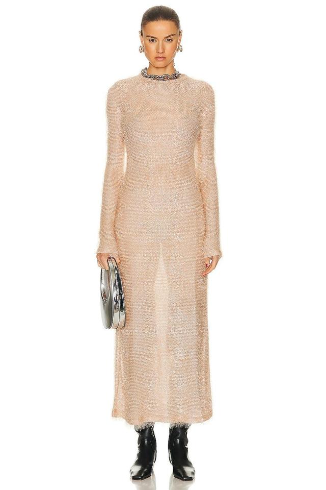 Crystal Maxi Dress Product Image