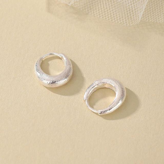 Brushed Alloy Hoop Earring Product Image