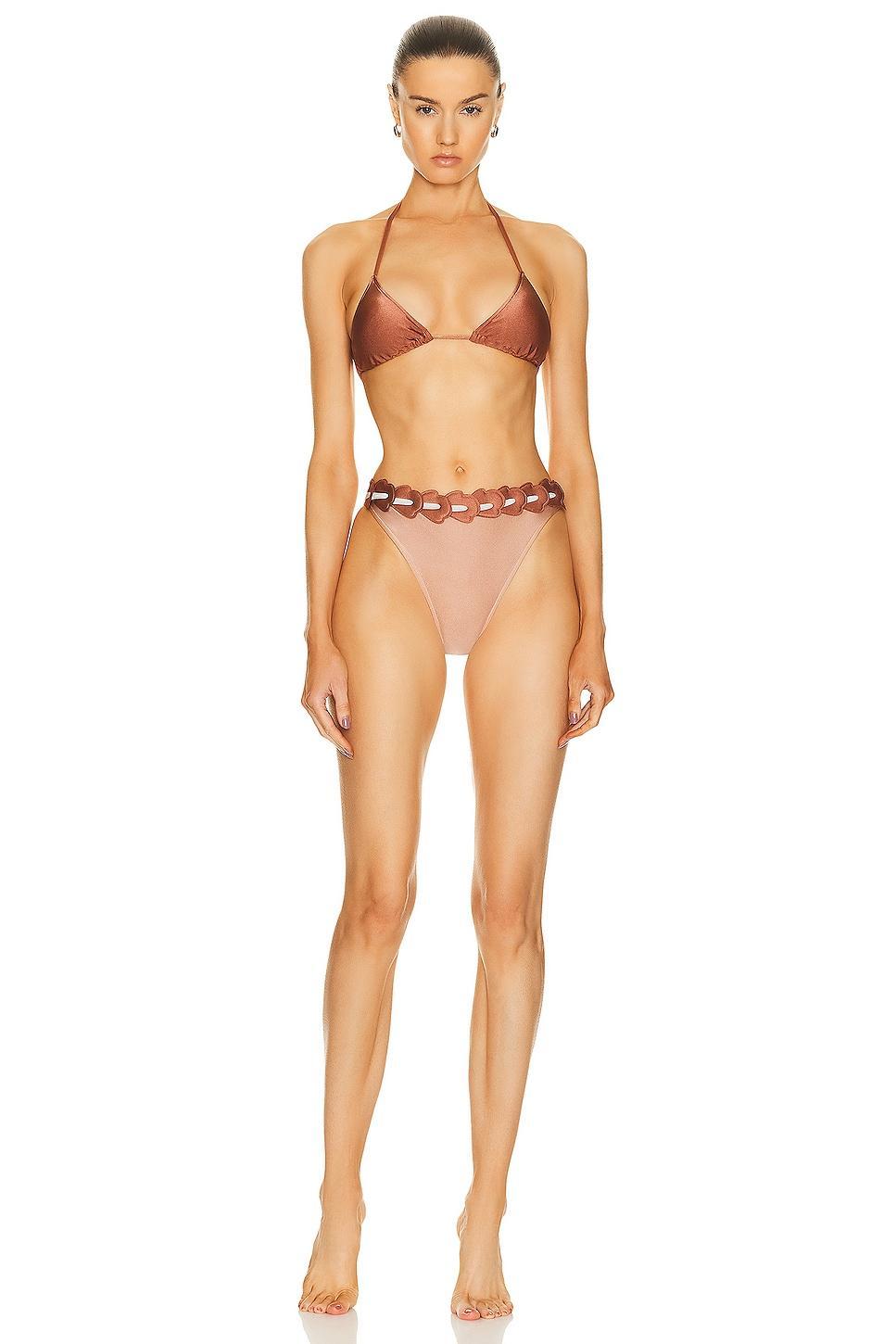 ADRIANA DEGREAS Spray Of Flower Solid Detailed Highwaisted Triangle Bikini Brown. (also in ). Product Image