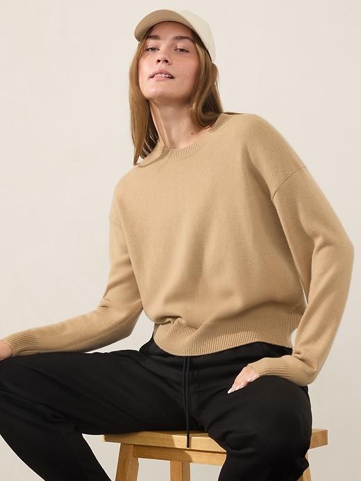 Alpine Crewneck Sweater Product Image