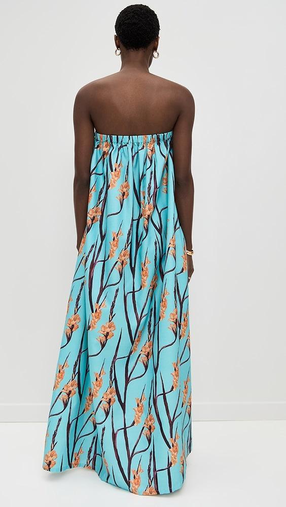 Dur Doux Strapless Maxi Dress | Shopbop Product Image