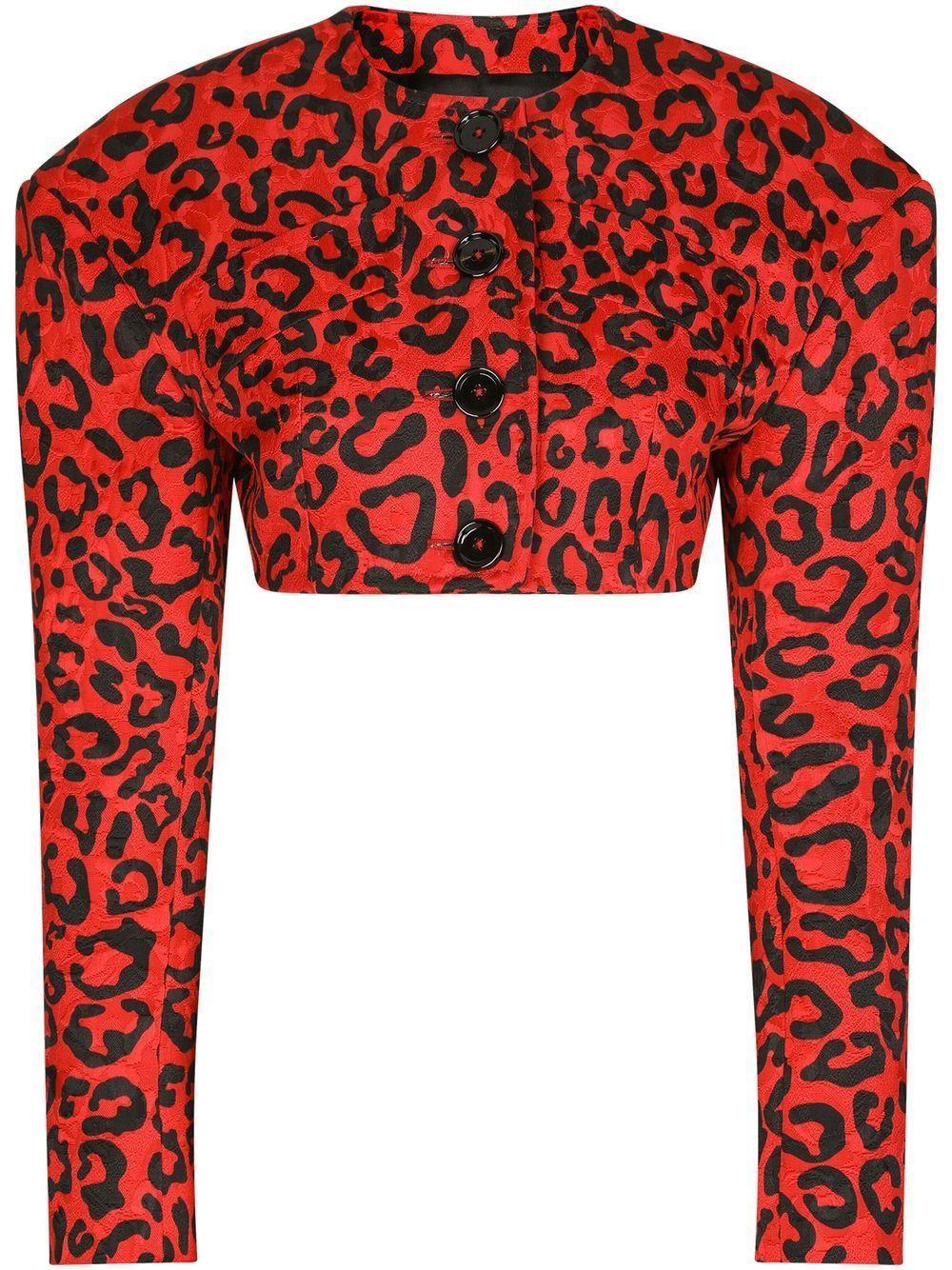 DOLCE & GABBANA Cropped Leopard-print Blazer In Red,black Product Image