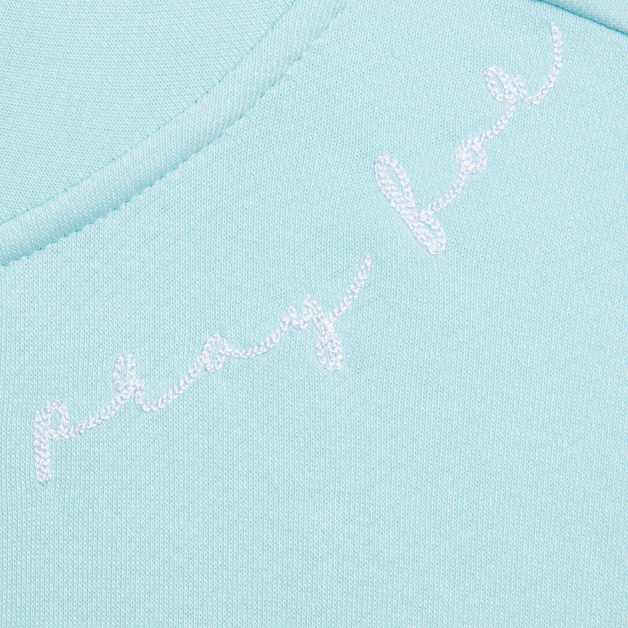 PRAY FOR BIRDIES FRENCH TERRY QUARTER ZIP BOXY PULLOVER Product Image