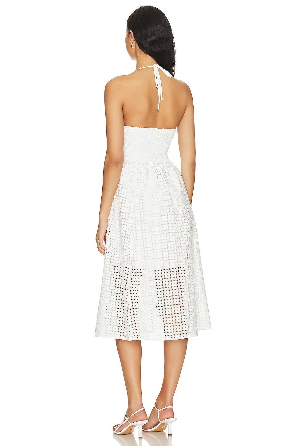 Denise Dress Steve Madden Product Image