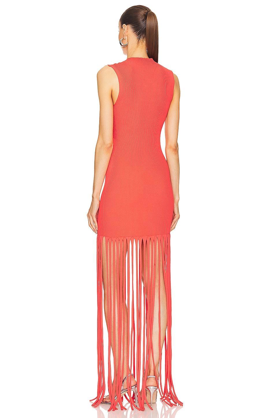 Fringe Dress Lapointe Product Image