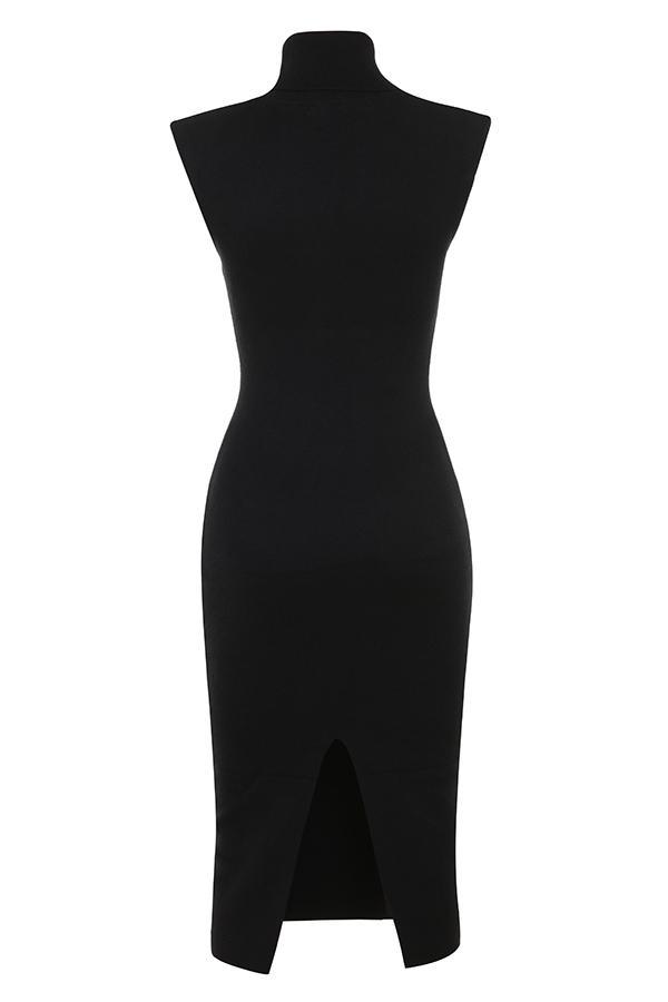 Gaia Black Cashmere Blend Turtle Neck Midi Dress Product Image