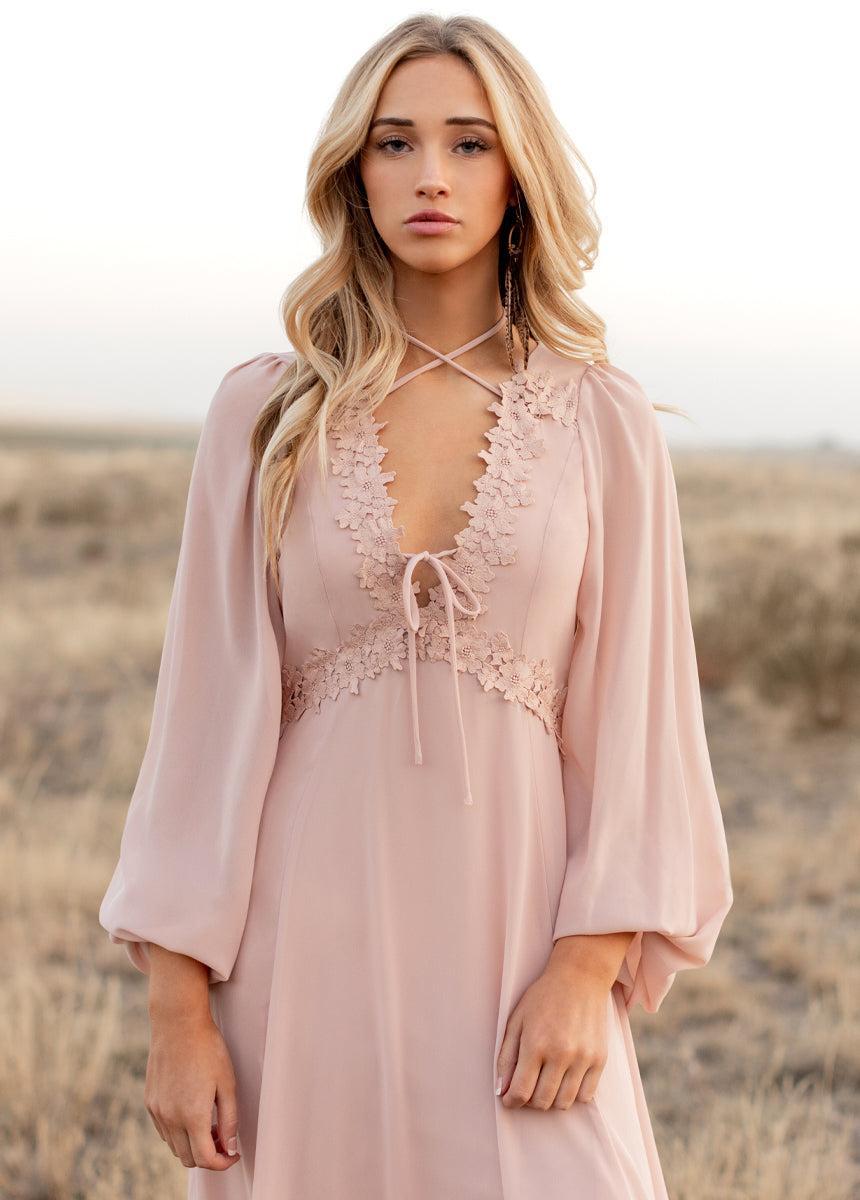 Niobe Dress in Blush Product Image