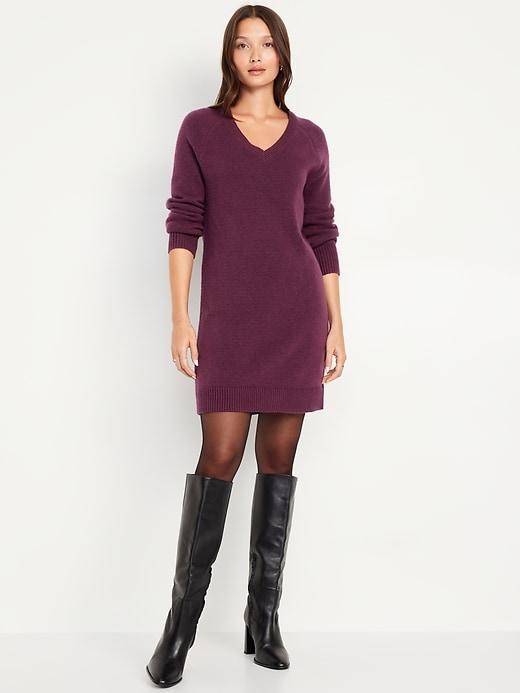 SoSoft Mini Sweater Dress Product Image