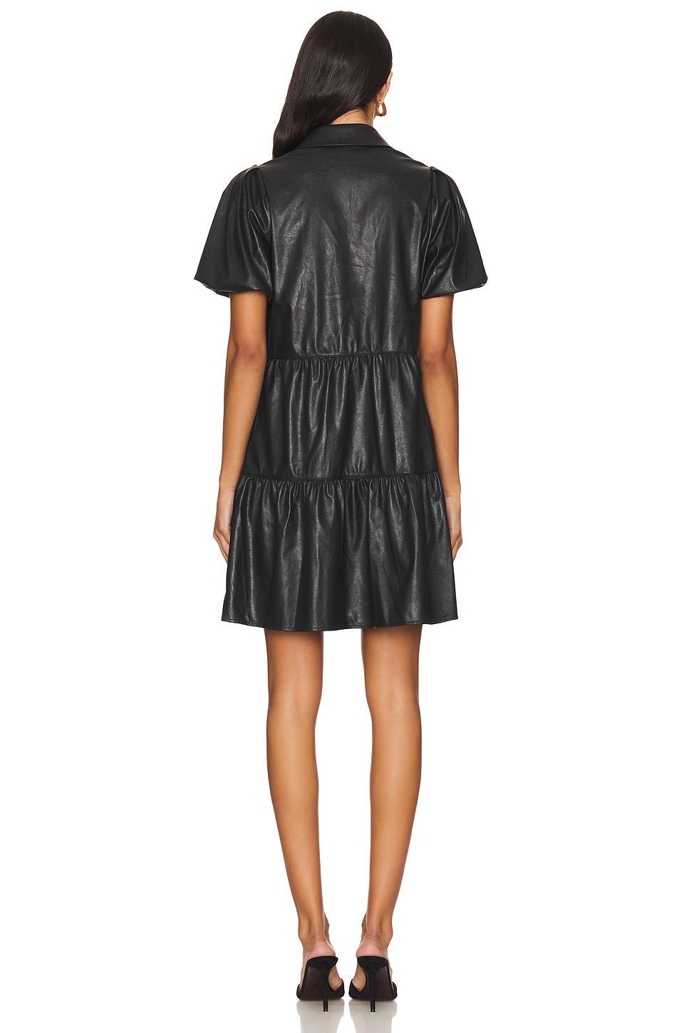 Havana Vegan Leather Mini Dress Brochu Walker Product Image