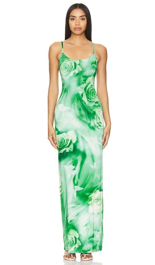 Lovers and Friends Zura Maxi Dress in Green Rose Swirl Product Image