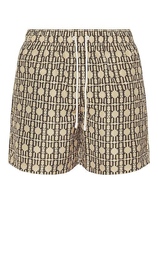 Palm Angels Swimshorts Brown. (also in ). Product Image