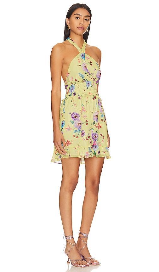 Rays for Days Louise Mini Dress Size L, S. Product Image