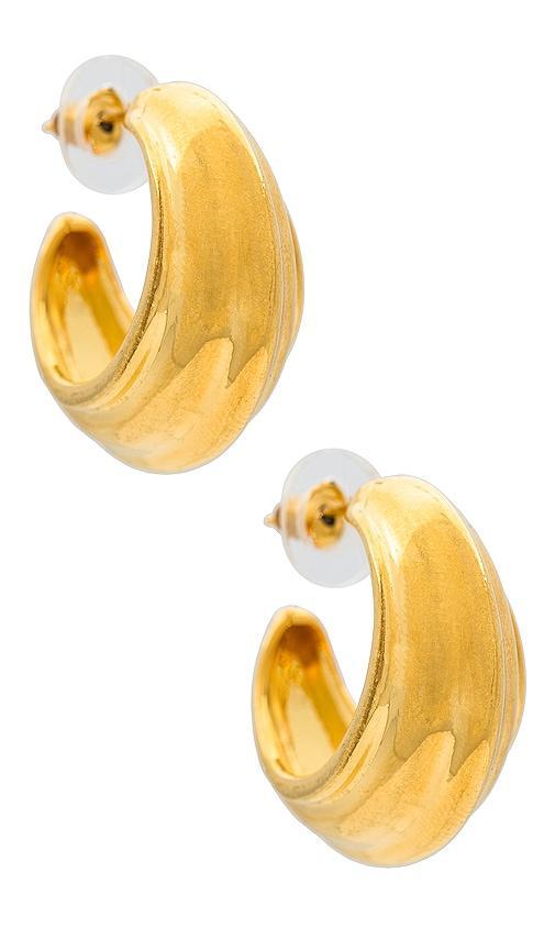 Forli Earrings Product Image