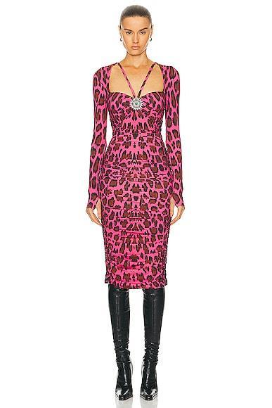 Roberto Cavalli Leopard Bodycon Dress in Fuchsia Product Image