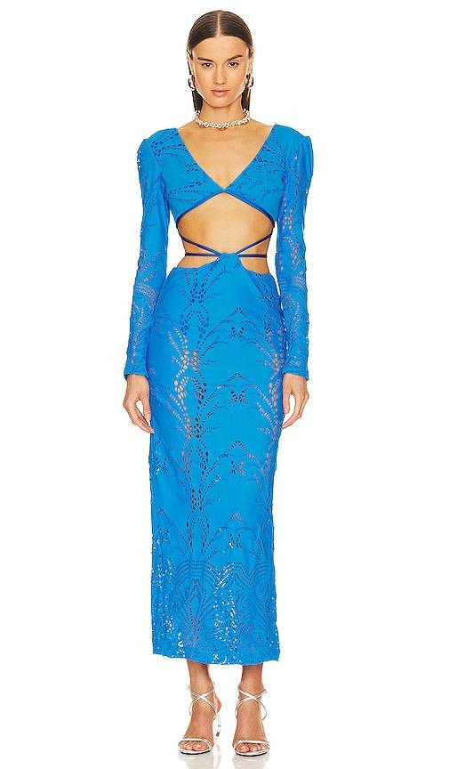 Stretch Lace Maxi Dress Product Image