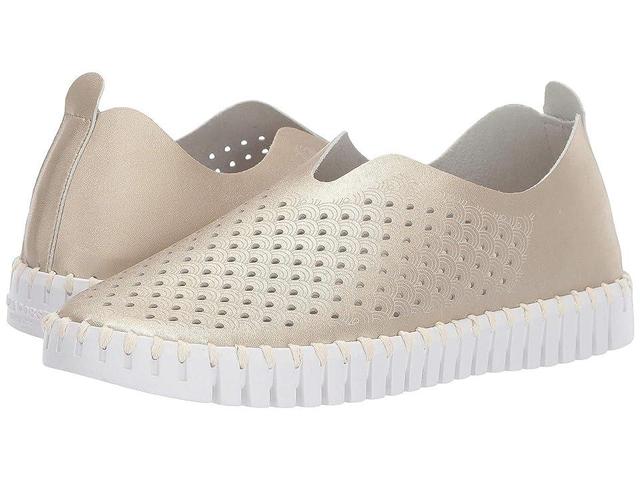 Ilse Jacobsen Tulip 139 Perforated Slip-On Sneaker Product Image