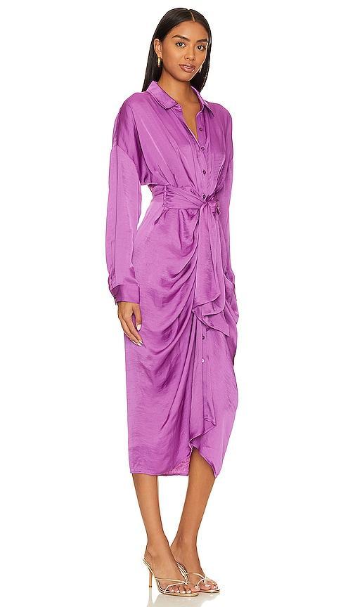 Steve Madden Sula Dress (Windsor Wine) Women's Clothing Product Image