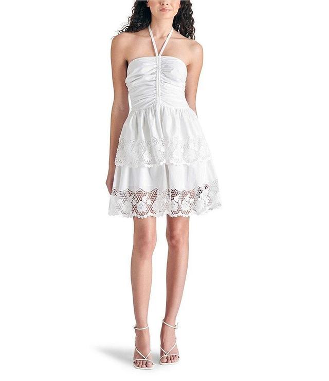 Steve Madden Robyn Halter Neck Sleeveless Lace Ruffle Dress Product Image