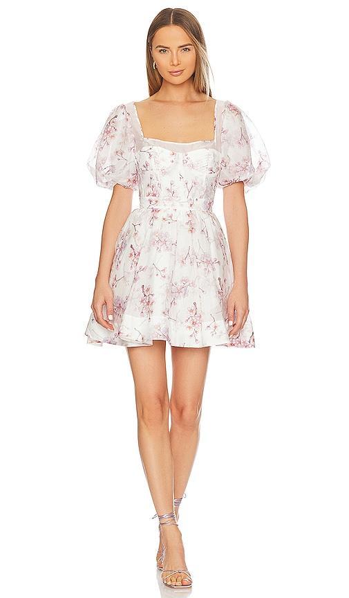 Gracious Floral Mini Dress Product Image