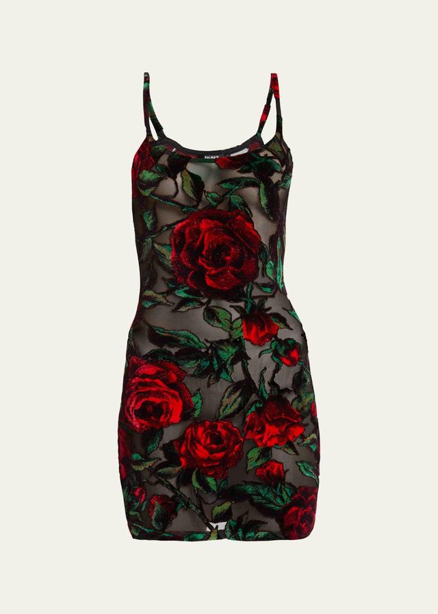 Velvet Rose Embroidered Mini Dress Product Image