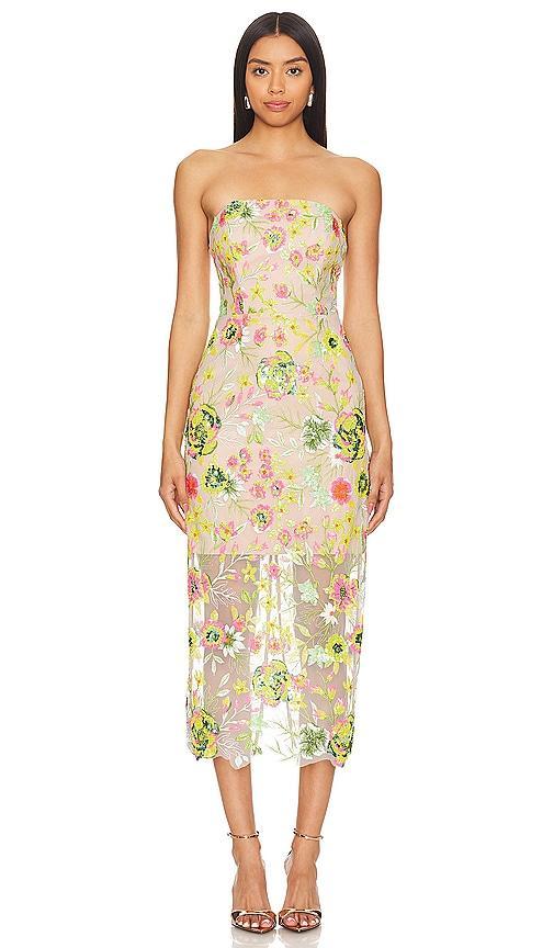 VESTIDO MIDI KAIT BOTANICAL PETALS Product Image