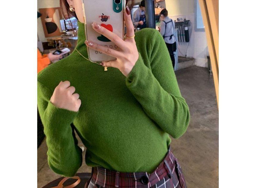 Long-Sleeve Turtleneck Plain Knit Top Product Image